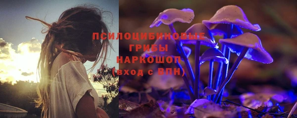 шишки Алзамай