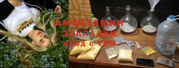 шишки Алзамай